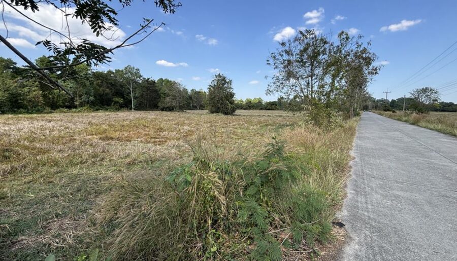 ขายที่ดิน 13 ไร่ 63 ตร.ว. บ้านนา นครนายก ถนนสุวรรณศร ยกแปลก หรือแบ่งก็ได้ โทร 089-7411750