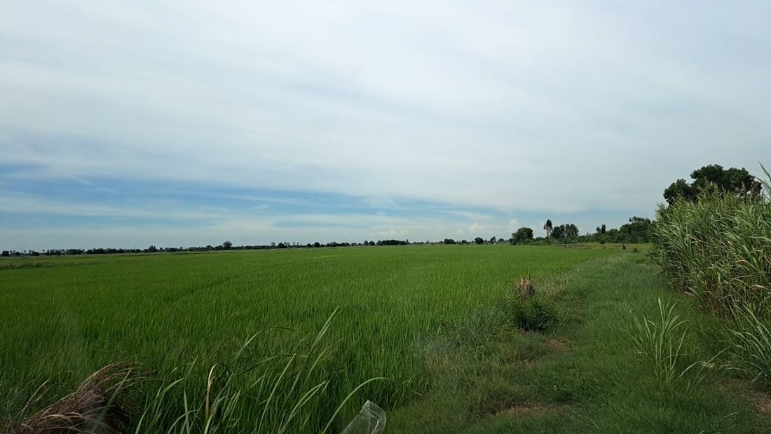 ขายที่ดินราคาพิเศษ อยุธยา บางปะอิน 68-2-9 ไร่ ด้านหน้าติดถนนใหญ่ 347 โทร 084-1416555