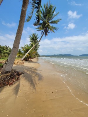 ที่ดิน ขาย หาดส่วนตัวอ่าวทุ่งมะขาม รีสอร์ท เหมาะทำโรงแรม ที่ดินติดทะเลชุมพร-หาดขาวสะอาด ติดทะเลชุมพรใกล้แหล่งท่องเที่ยว