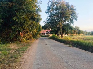 ขาย ที่ดิน ใกล้ทางหลวงหมายเลข24 น้ำประปาไฟฟ้าผ่านหน้าที่นา ที่นา-ที่ดินราคาถูกนครราชสีมา เข้าออกหมู่บ้านได้2เส้นทาง ใกล้ถนนโชคชัย-เดชอุดม