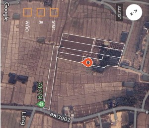 ที่ดิน ขาย เจ้าของขายเอง ติดถนนบ้านบูชา-ป่าสัก ใกล้แหล่งชุมชน-ตลาด-ห้าง-โรงพยาบาล ขายที่ดินอำเภอเมืองลำพูนราคาถูก ตำบลป่าสัก