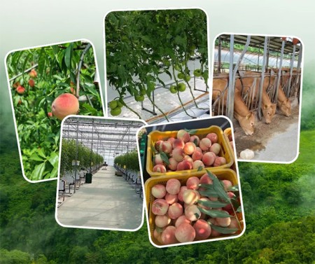 ประกาศ บริการ งานสวนประเทศออสเตรเลีย รับสมัครงานต่างประเทศด่วน งานสวนประเทศเกาหลีใต้ รายได้ดีมาก จัดหางานต่างประเทศ