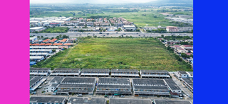 ขาย ที่ดิน ติดถนน344 ที่ดินชลบุรี30ไร่ ใกล้โลตัสบ้านบึง เหมาะทำหมู่บ้าน ราคาถูกสุด